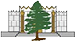 Tall Cedars